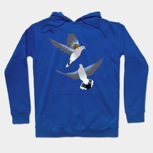 Turtle Doves Hoodie